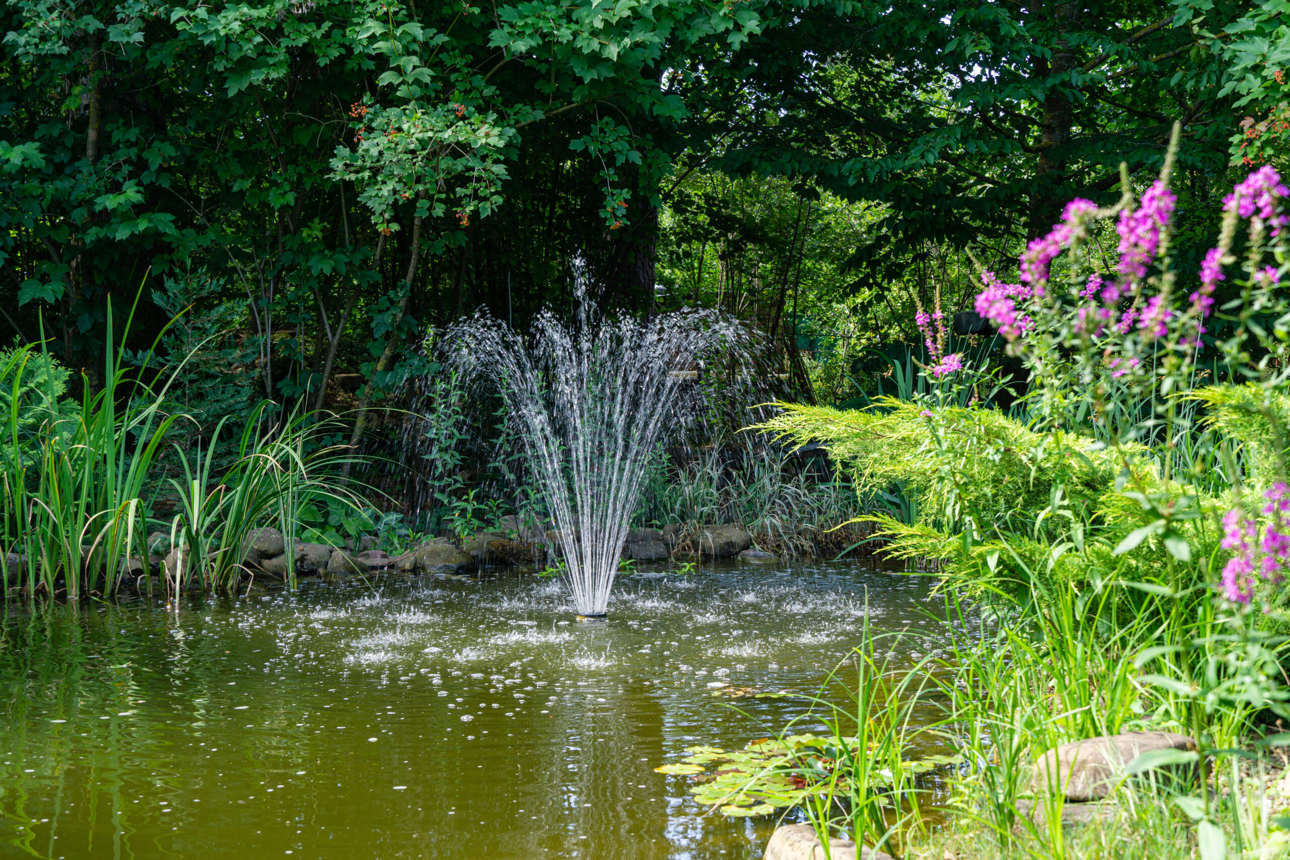 Backyard pond fountains featuring an active floating pond fountain spraying water patterns into the air.